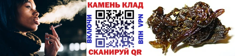 дарнет шоп  Кинешма  ГАШИШ hashish 