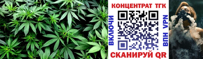 Дистиллят ТГК Wax  Кинешма 