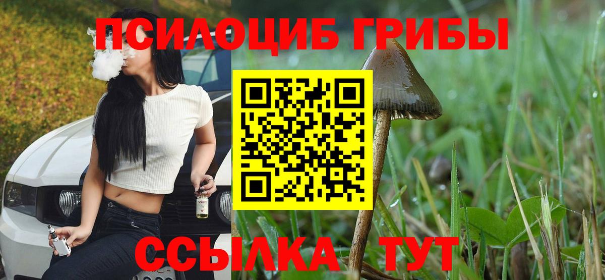 Псилоцибиновые грибы ЛСД  Вход с VPN  Кинешма 